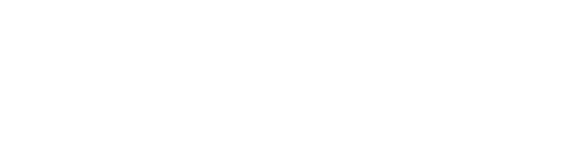 Xenon Solutions logo
